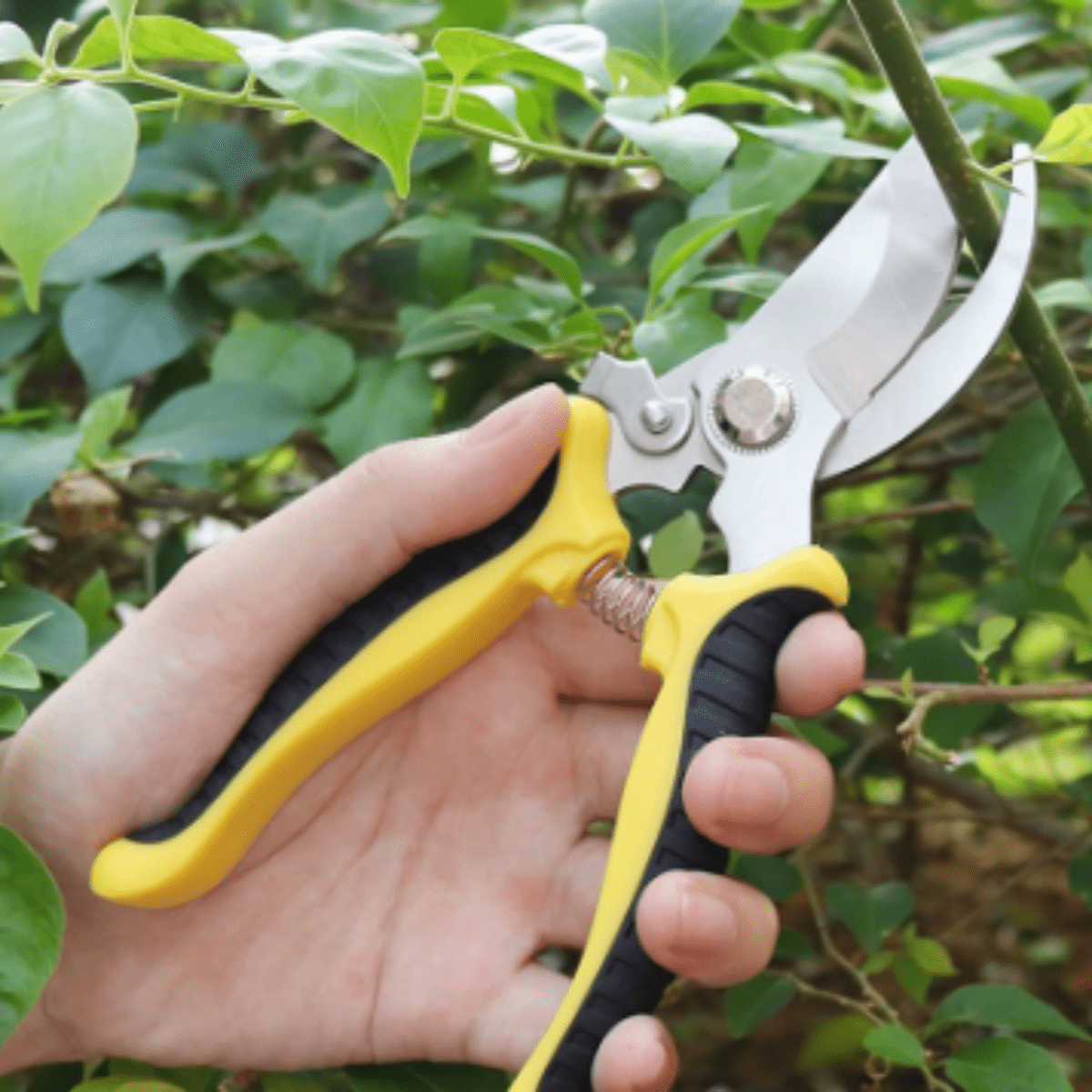 1pc Stainless Steel Tree Branch Pruning Shears, Garden Secateurs, Orchard Floral Cutting Scissors,Garden Tools