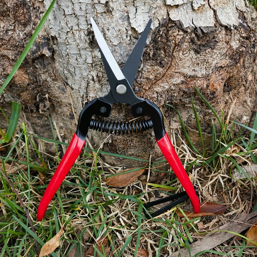 1pc 7.48 Inch Garden Pruning Shears Gardening Scissors Fine Branch Cutter With Belt For Yard, Vine, Fruit Tree Trimming