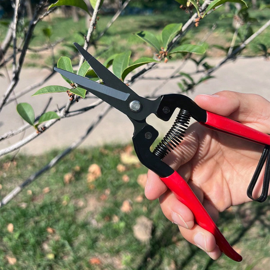 1pc 7.48 Inch Garden Pruning Shears Gardening Scissors Fine Branch Cutter With Belt For Yard, Vine, Fruit Tree Trimming