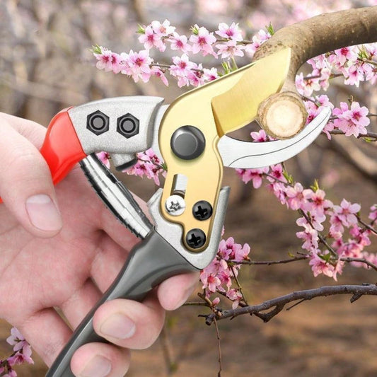 8-Inch Pruning Shears, Premium Bypass Gardening Scissors Secateurs With Ergonomic Handle, Hand Pruner Branch Clippers