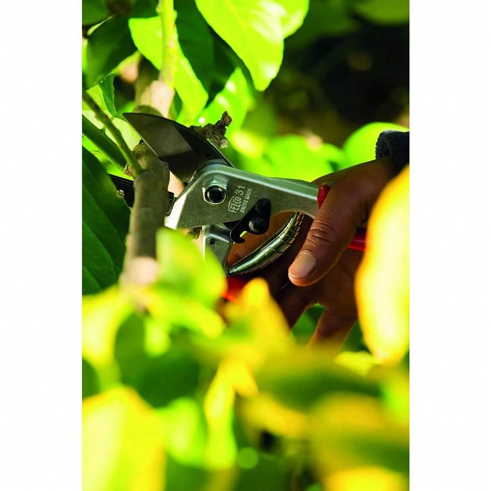 Felco 31 Anvil Style Pruning Shear - Swiss Made, High Performance Tool For Precision Cutting And Gardening Excellence